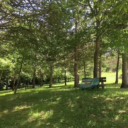 In Marche With Pool & Terrace *